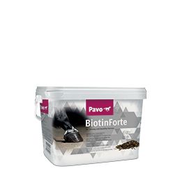 Supplementen - BiotinForte € 44.95